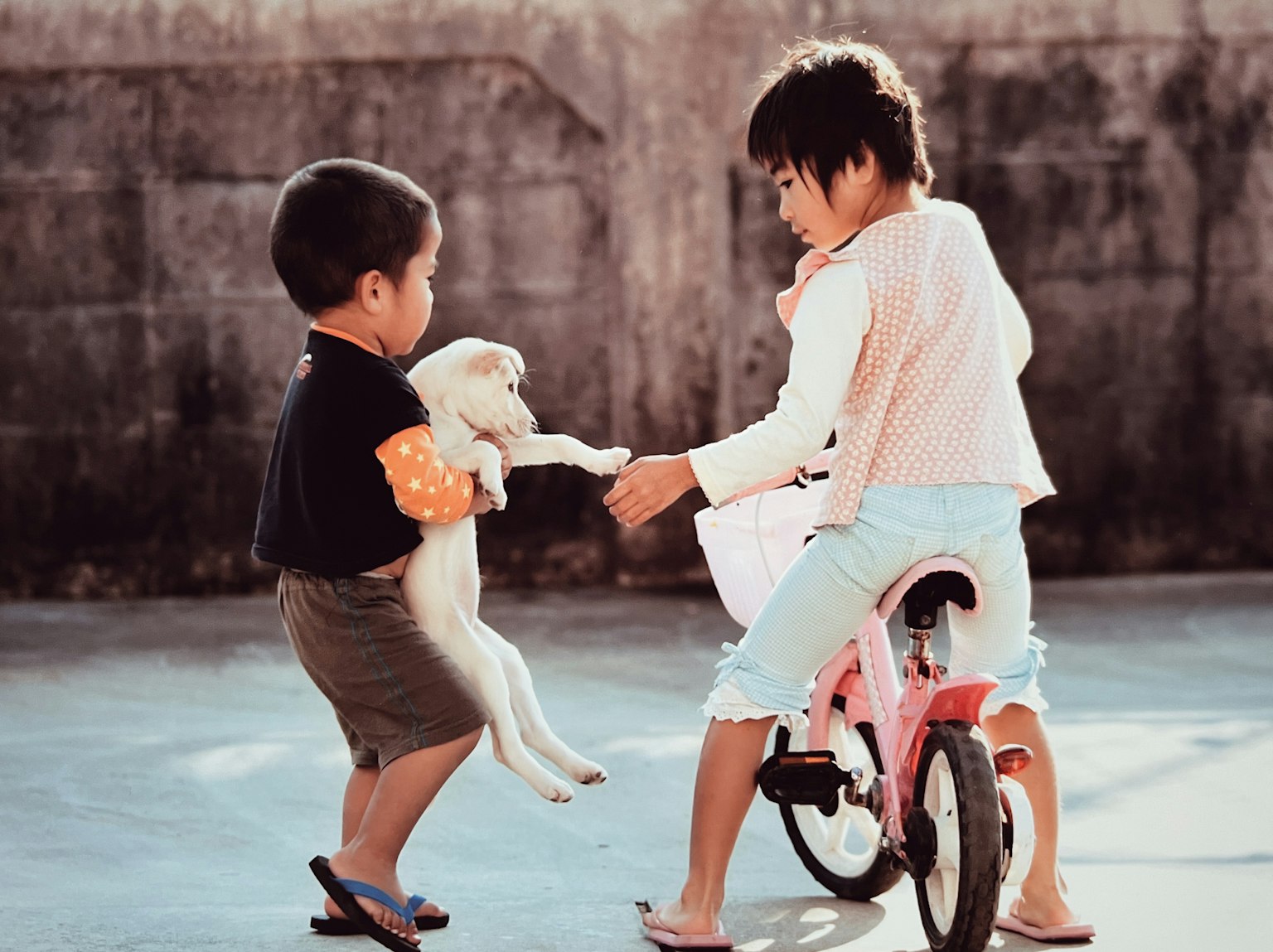 Anak-anak bermain dengan anak anjing di lingkungan yang cerah