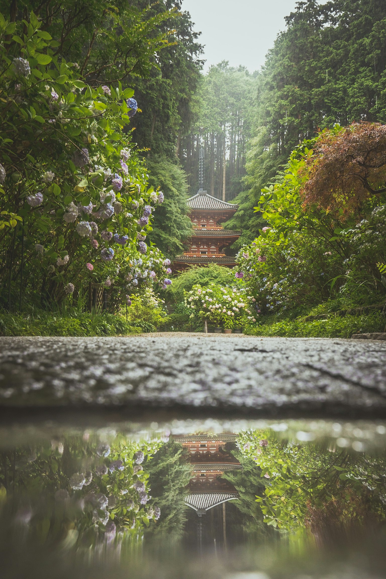 Una hermosa estructura rodeada de vegetación exuberante y flores con un reflejo en un charco