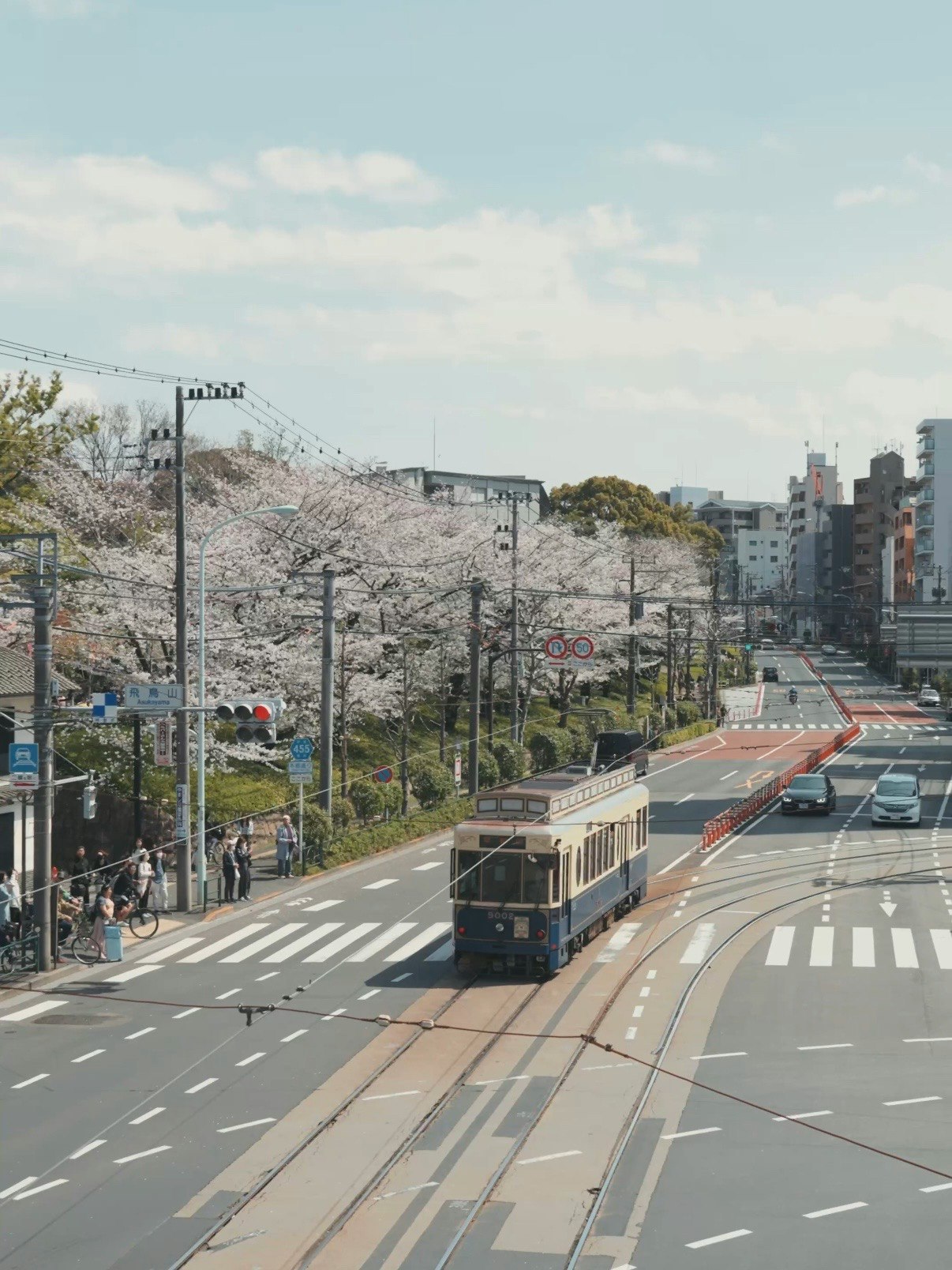 Straße in Tokio mit Kirschblüten-Allee und Straßenbahn