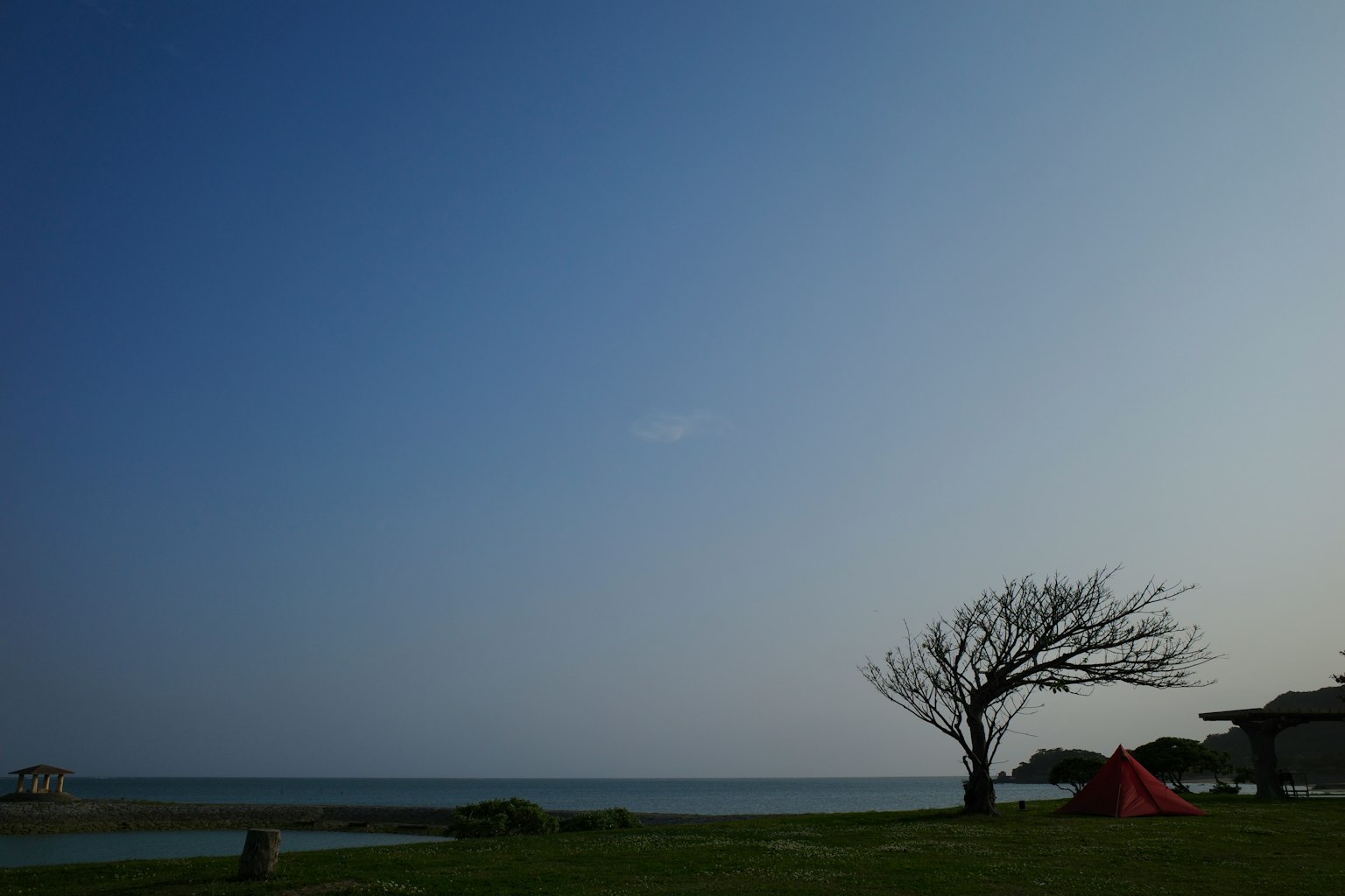 Un albero solitario e una tenda sotto il cielo blu e il mare