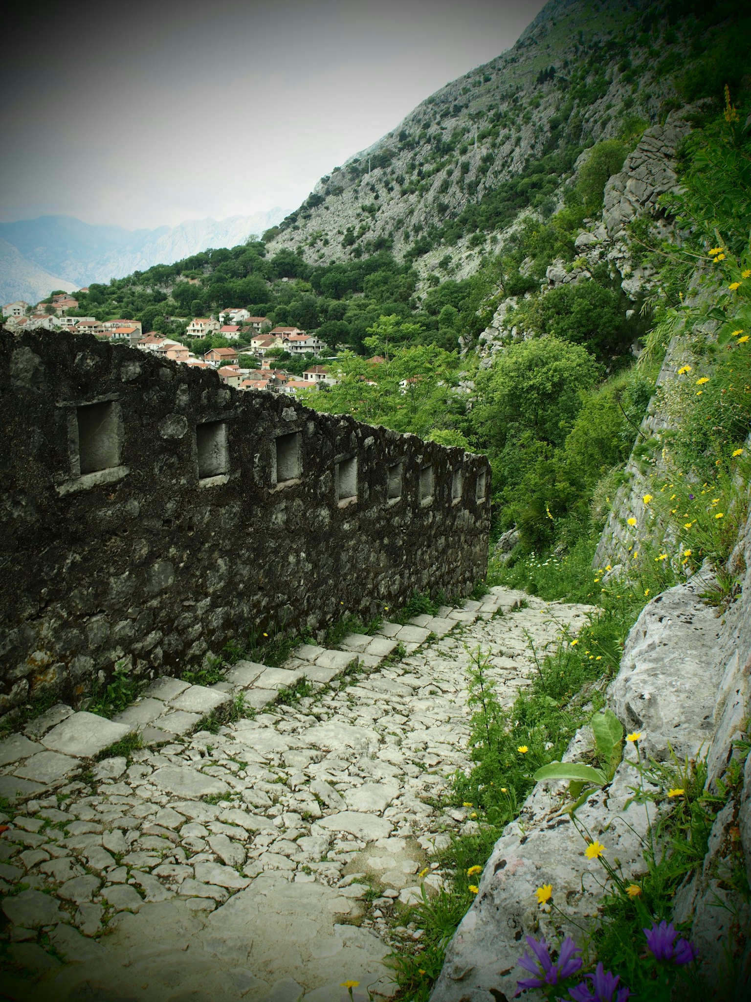 Steinige Treppe, die hinunterführt, mit üppigem Grün und Berglandschaft