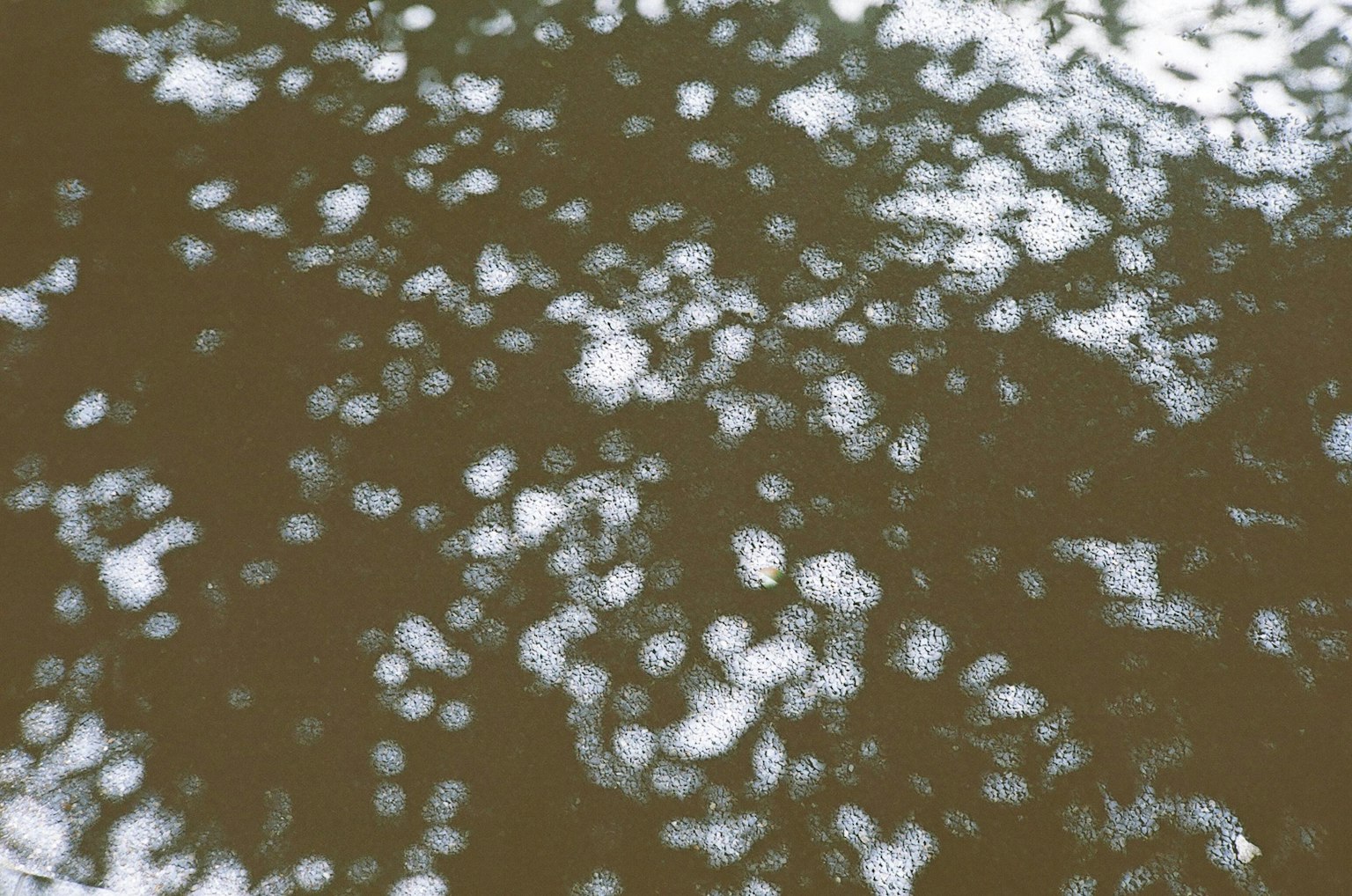 白云在棕色水面上的反射图案