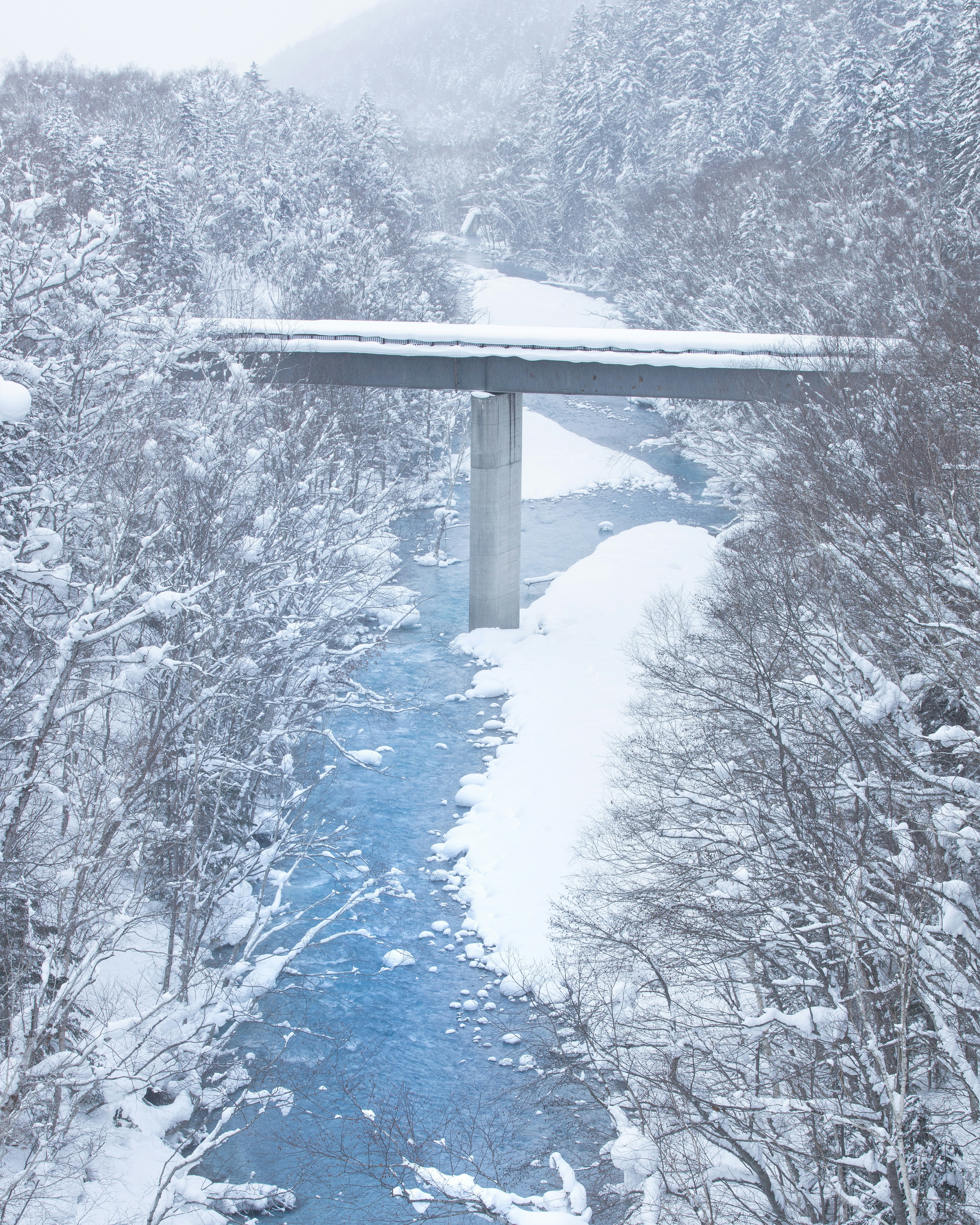 雪の降る山道と木々のトンネル