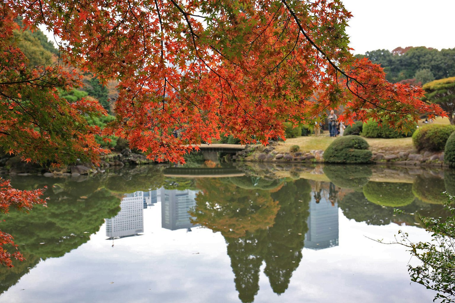 Malersiche Aussicht auf einen Teich umgeben von lebhaftem Herbstlaub