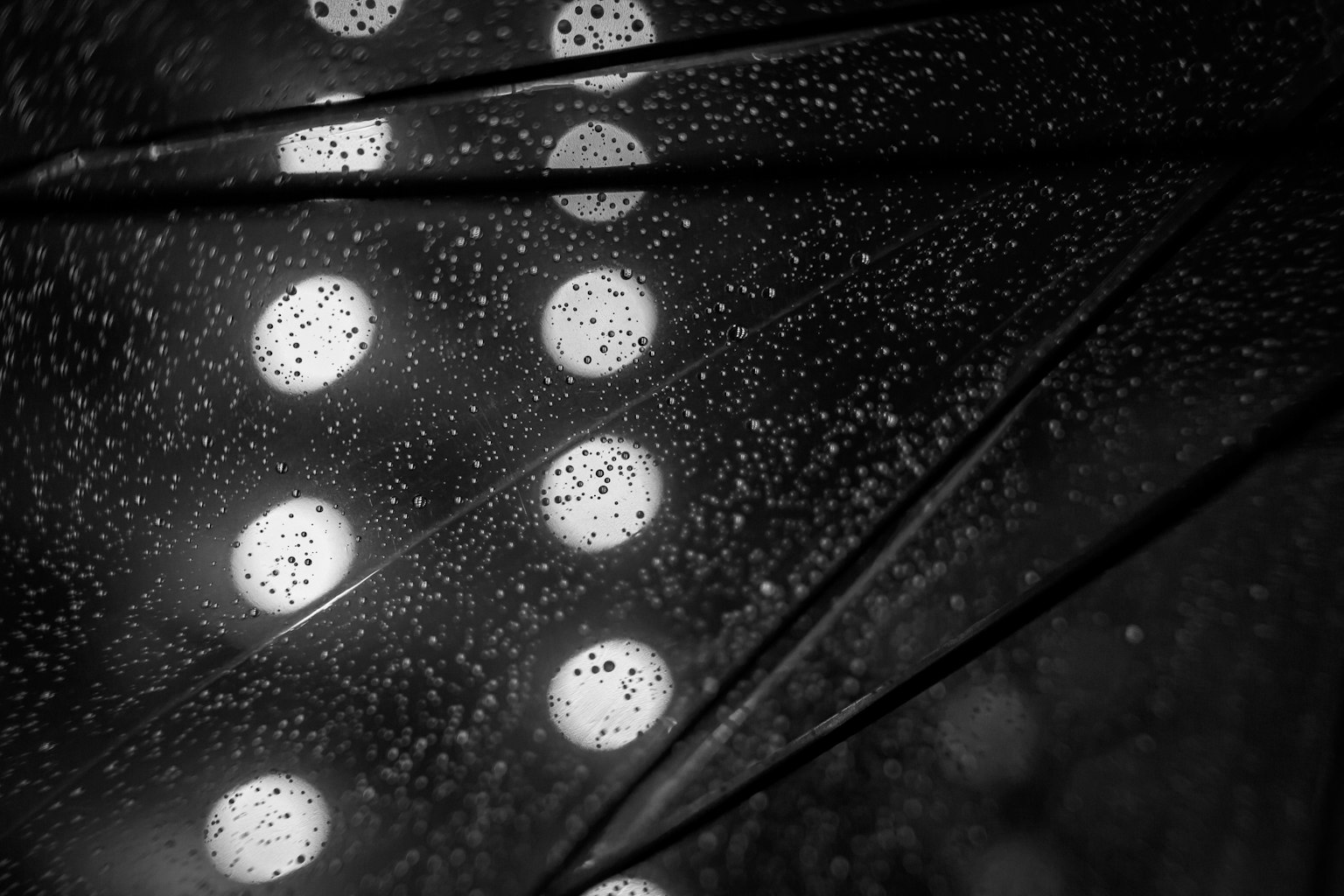 Nahaufnahme eines Regenschirms mit Wassertropfen und leuchtenden weißen Punkten