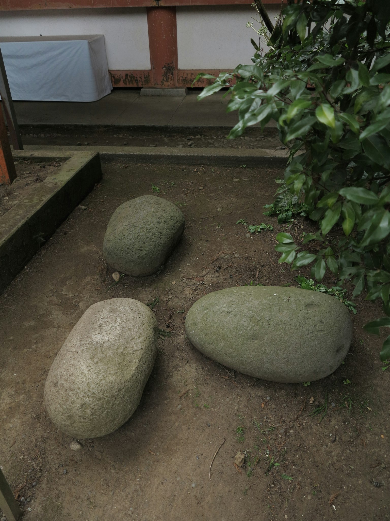 Tres piedras dispuestas en un jardín rodeadas de plantas verdes