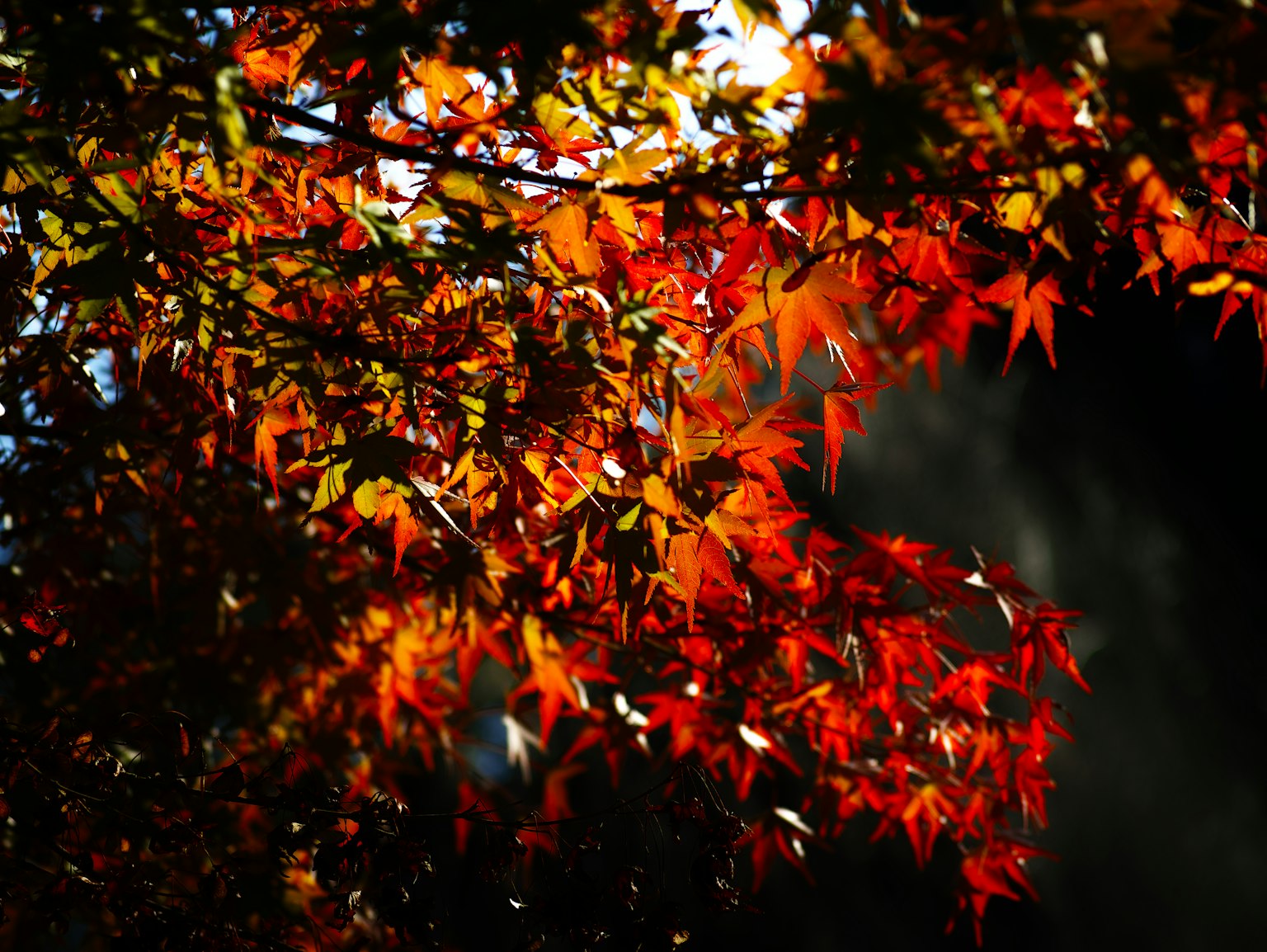 photo-T6Sc6zVtIlRZDLmYbDYh-image