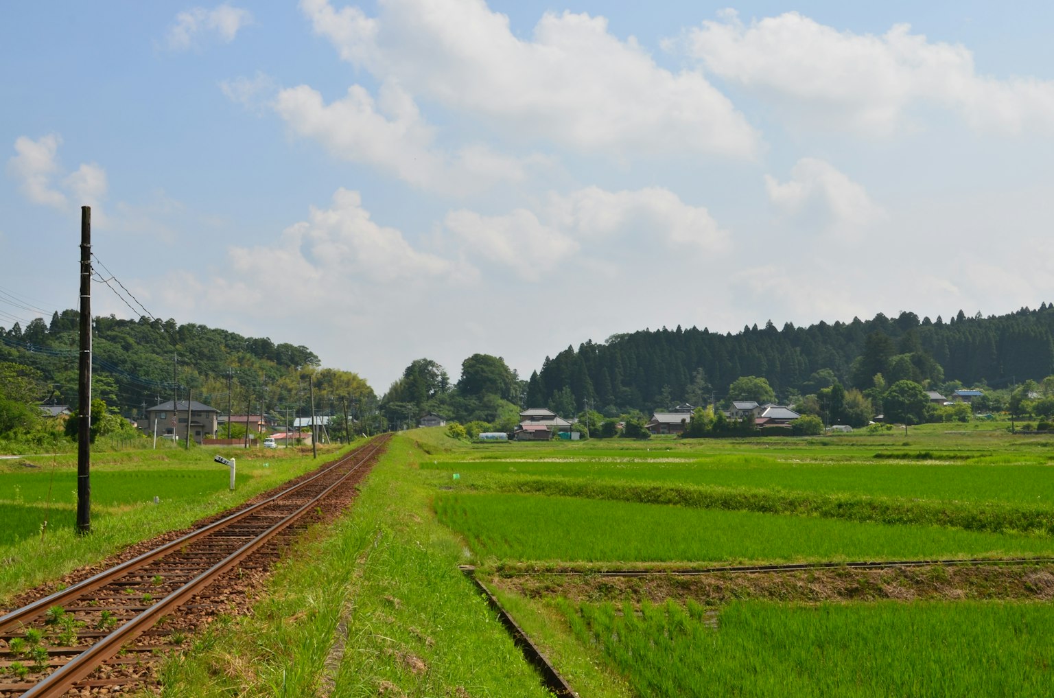 郁郁葱葱的稻田和鄉村風景中的鐵路軌道的風景