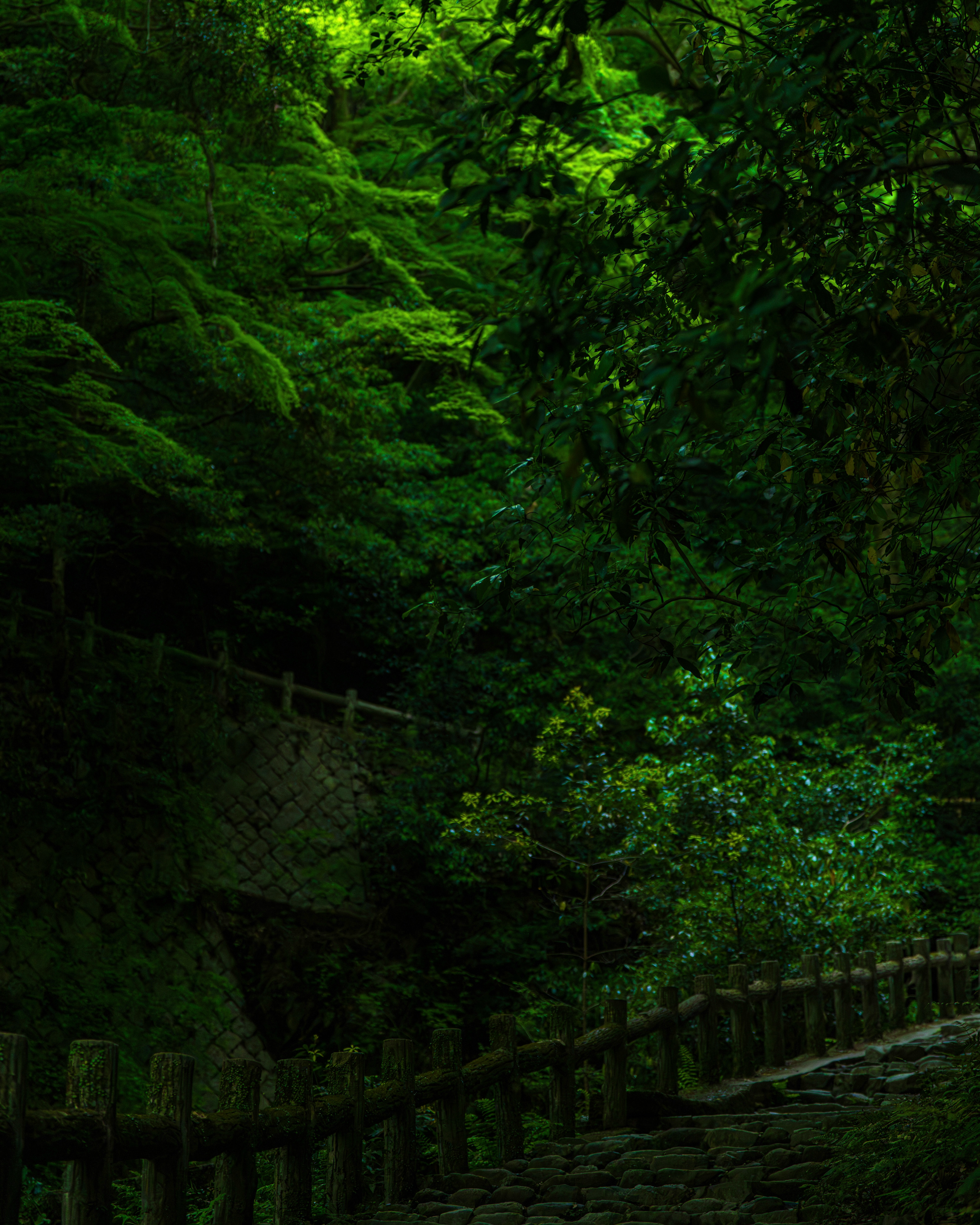 photo-T6j0x0SD5NBaX8dKex1H-image