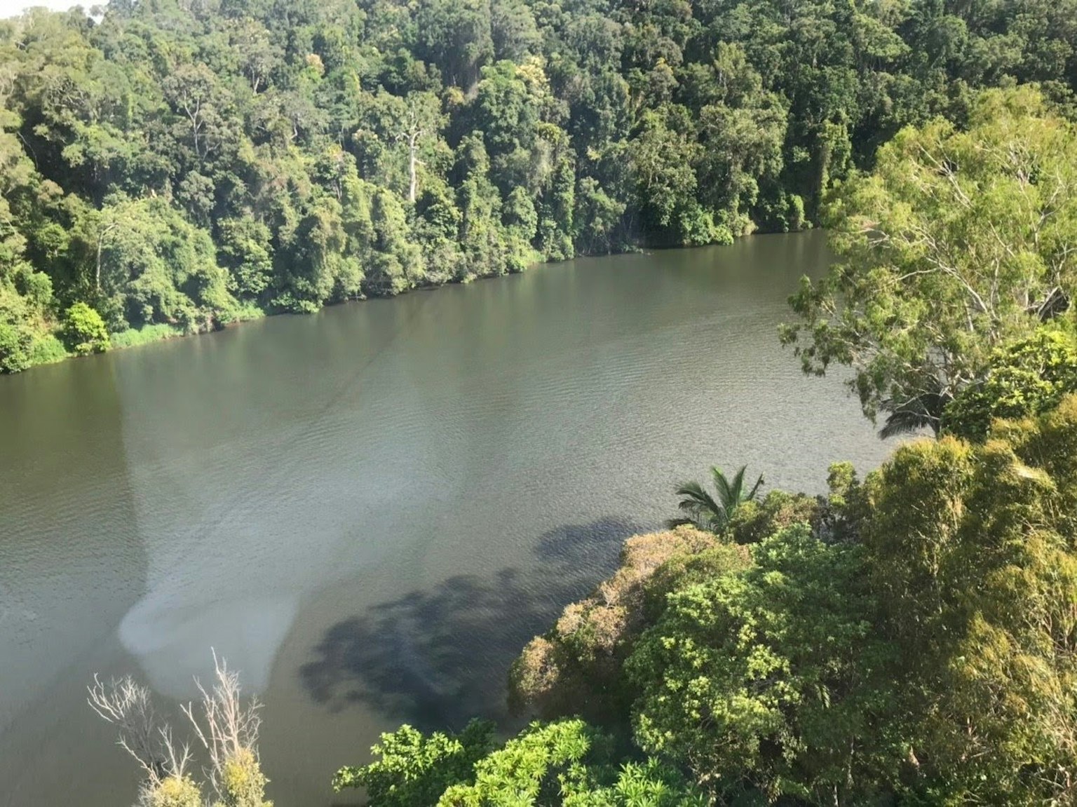 Ein ruhiger See umgeben von üppigem Wald