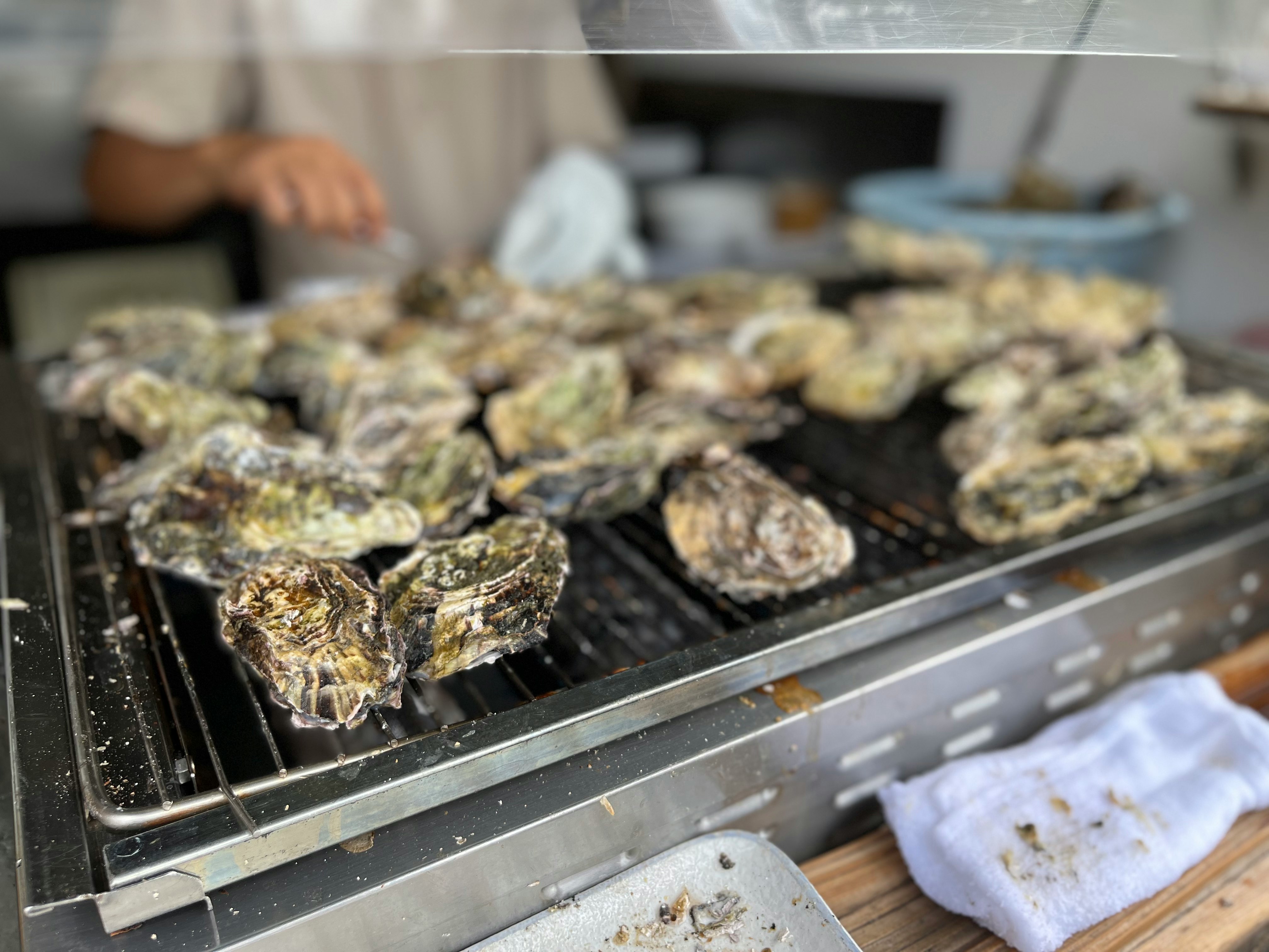 hàu xếp hàng trên vỉ nướng barbecue