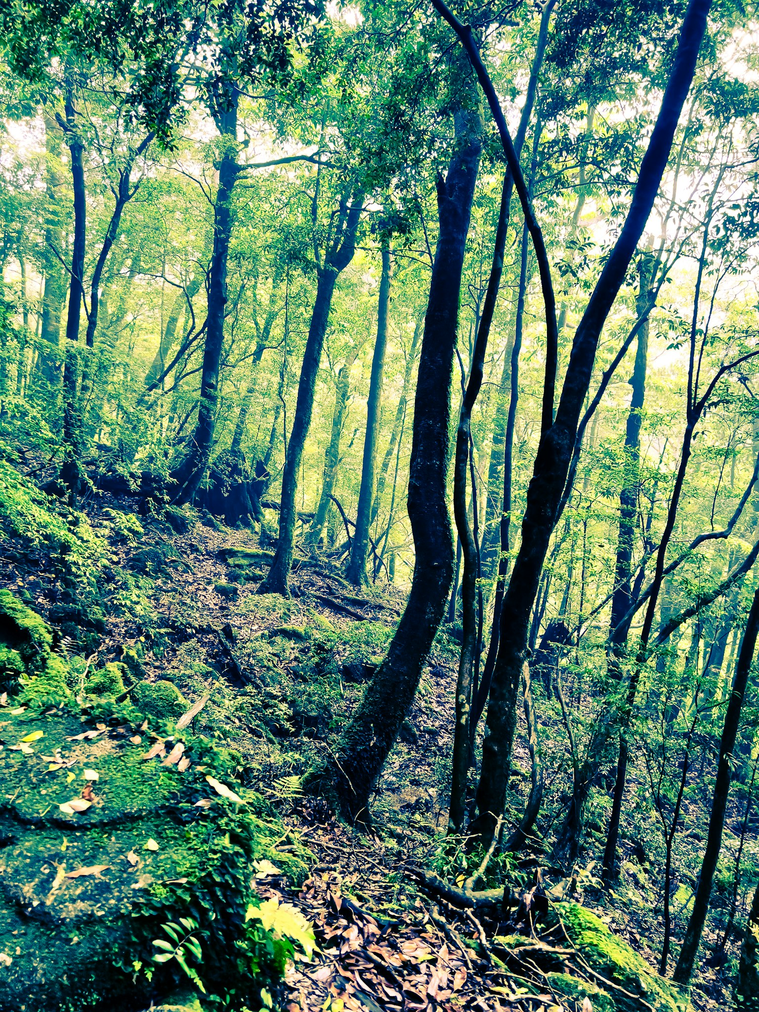 photo-T7DYljMjlVMK8iFWQSsZ-image