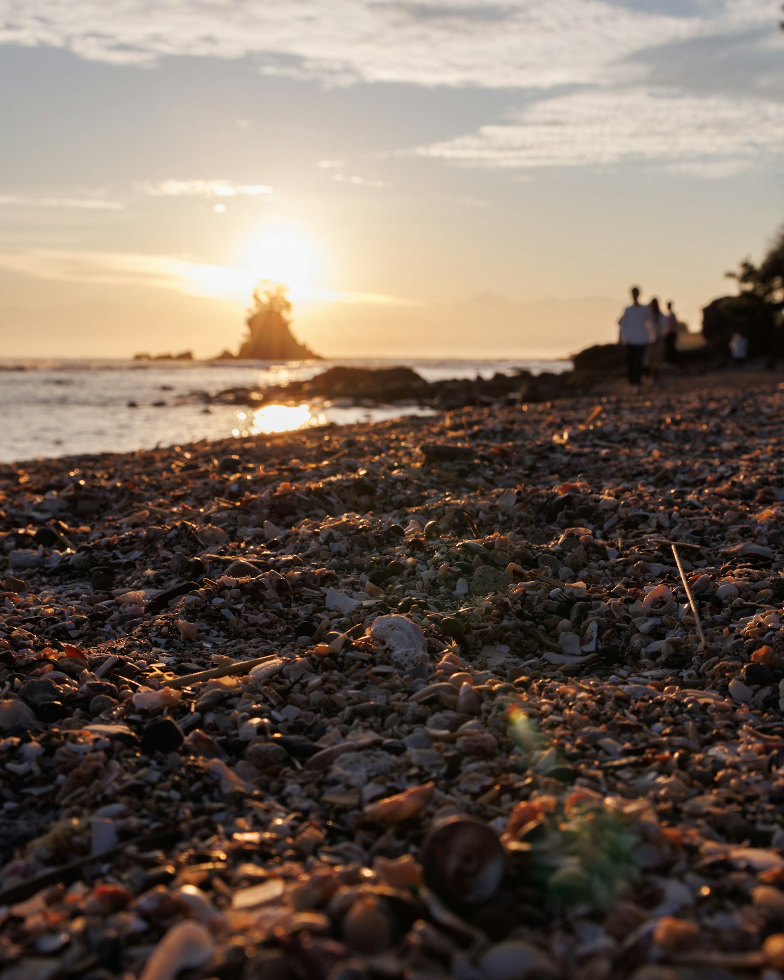 Beach scene with sunset and seashells in the foreground