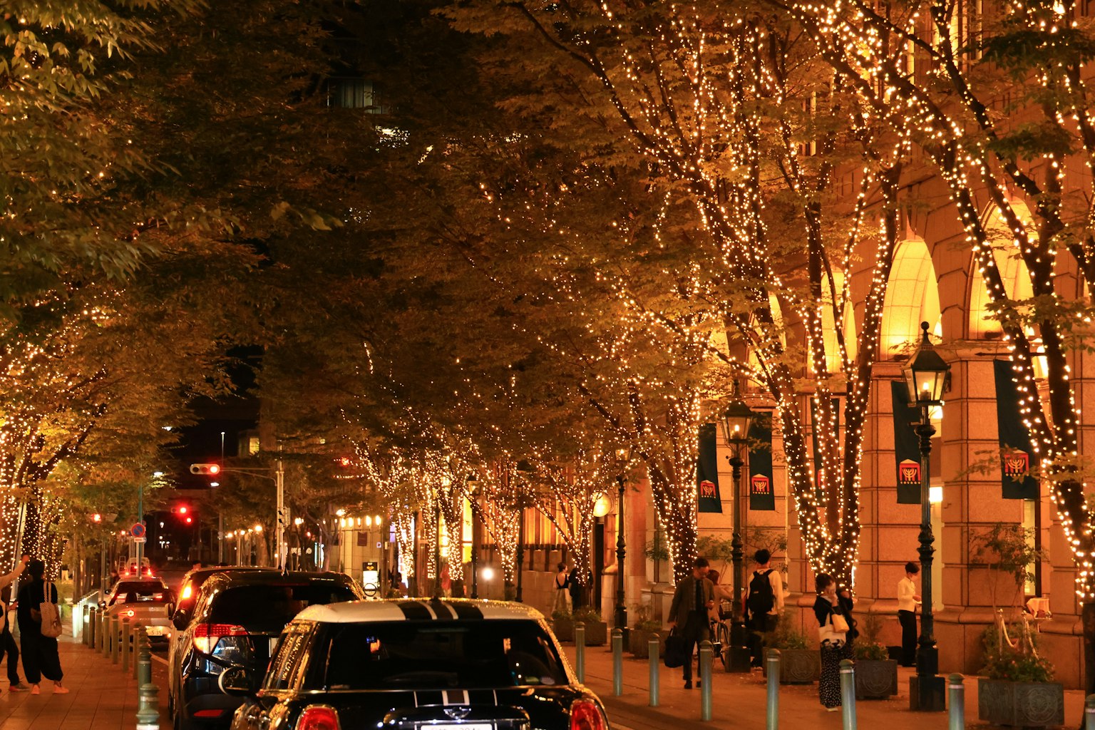 Tree-lined street adorned with decorative lights and parked cars
