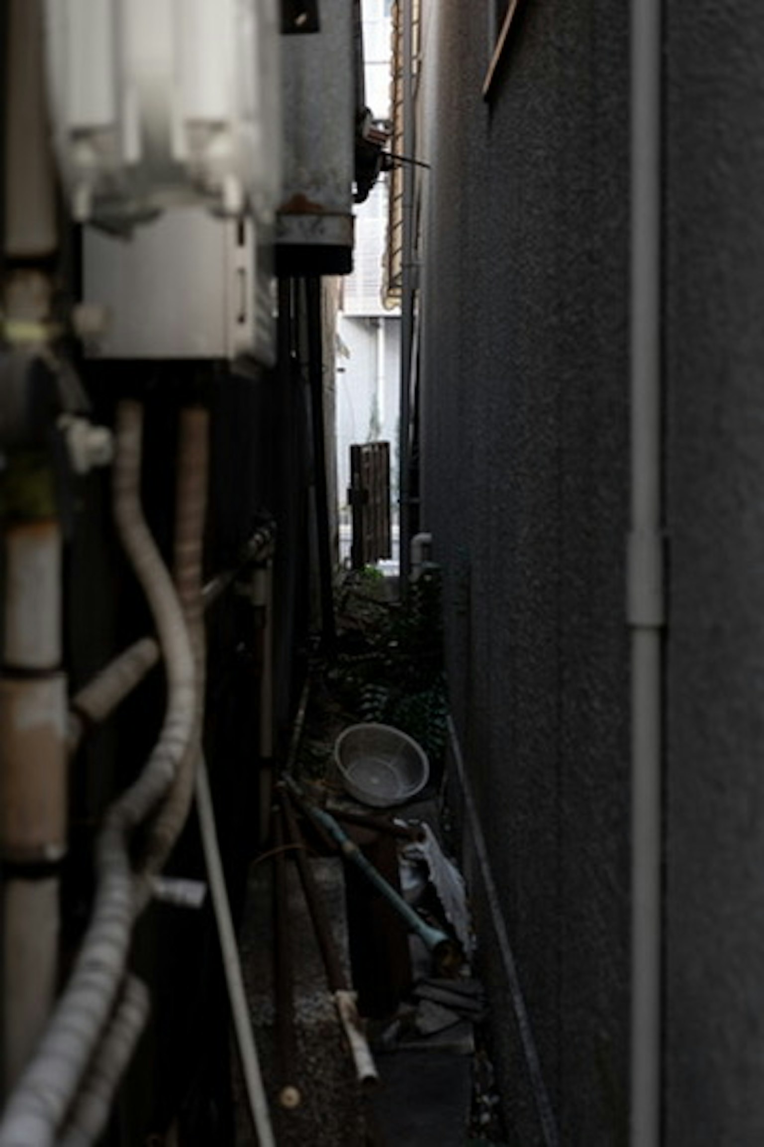Lorong sempit menunjukkan tanaman dan bahan limbah