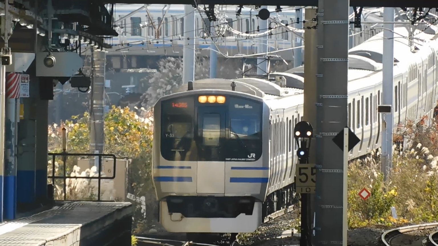 Treno in arrivo su una piattaforma con paesaggio circostante