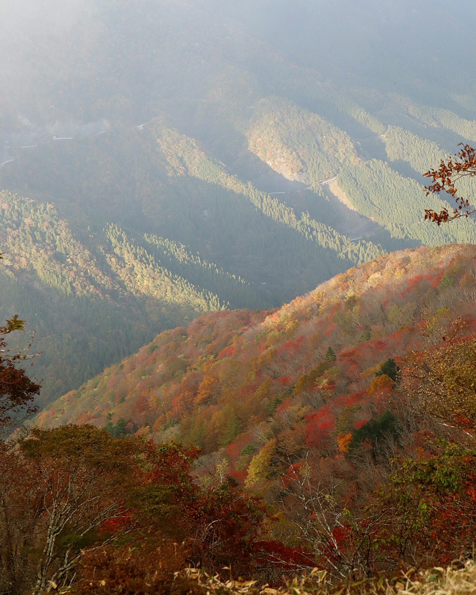 다채로운 가을 색이 있는 산 풍경 녹색과 빨간색 잎사귀가 특징