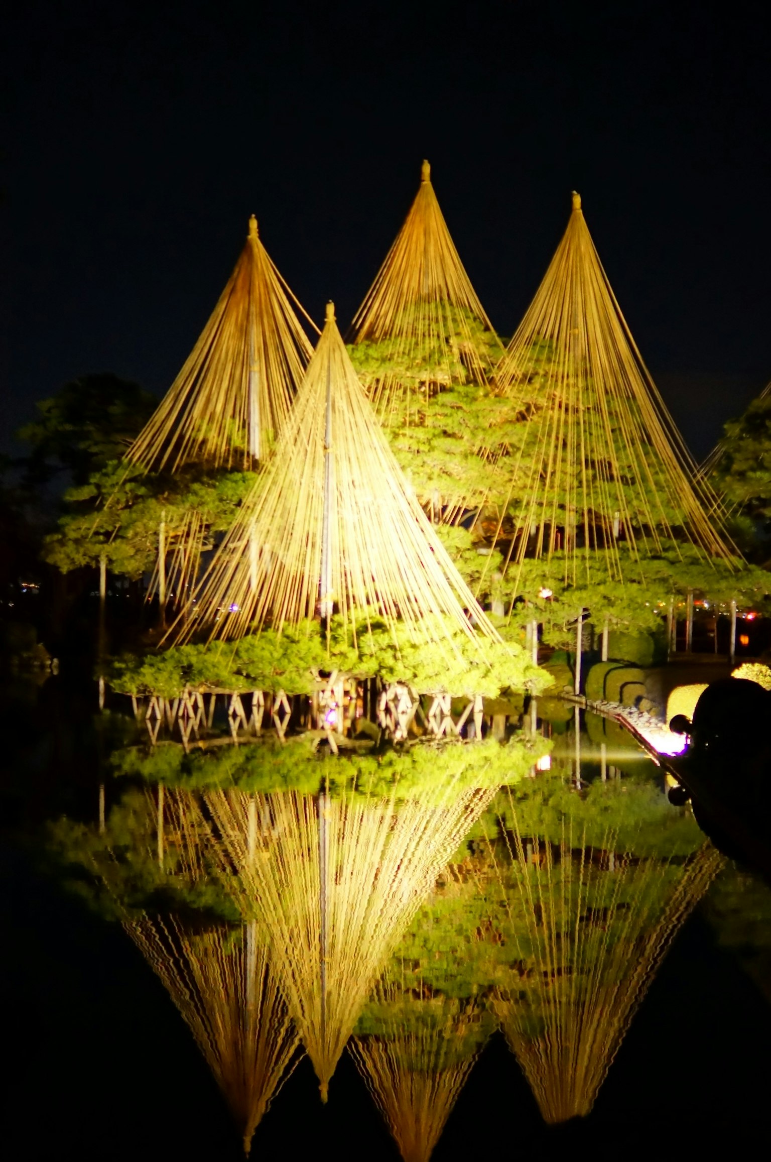 Hermosos pinos y decoraciones de bambú reflejados en un estanque por la noche