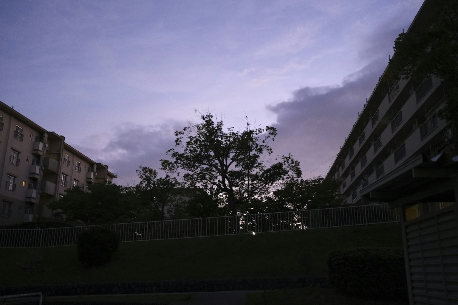 黄昏时分的住宅区，树木和建筑物