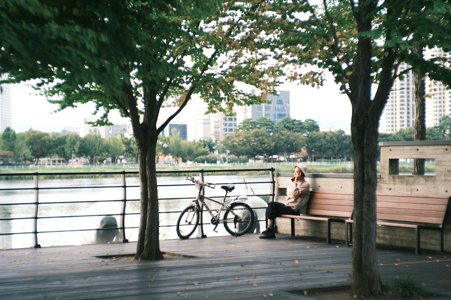 公園のベンチに座る女性と自転車のある風景 川と都市の背景