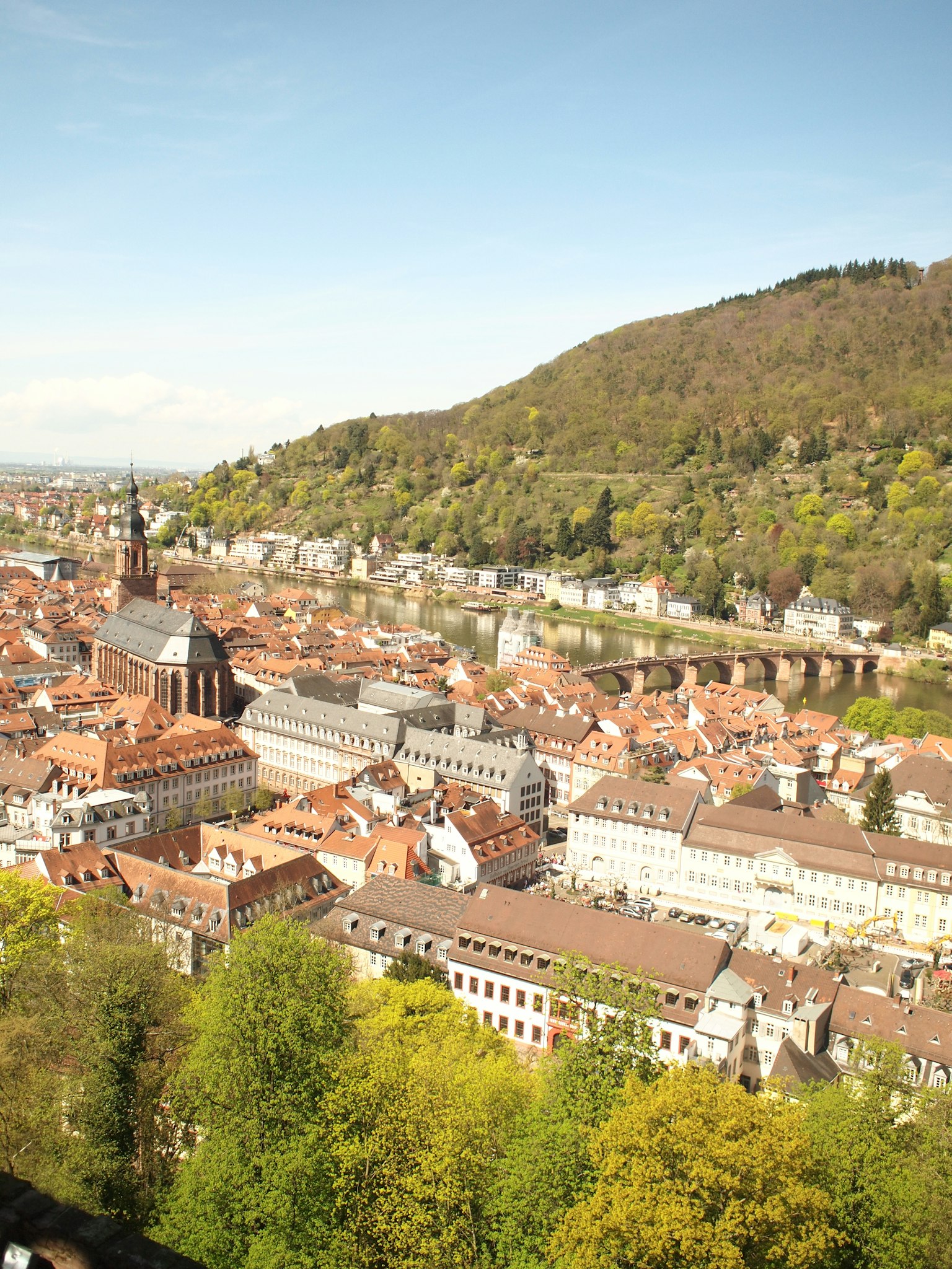 Luftaufnahme von Heidelberg mit der charmanten Stadtlandschaft und den üppigen grünen Hügeln
