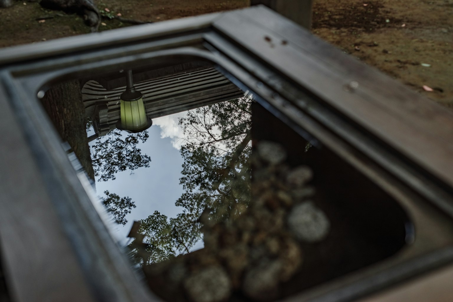 Riflesso di alberi e cielo in una pozzanghera