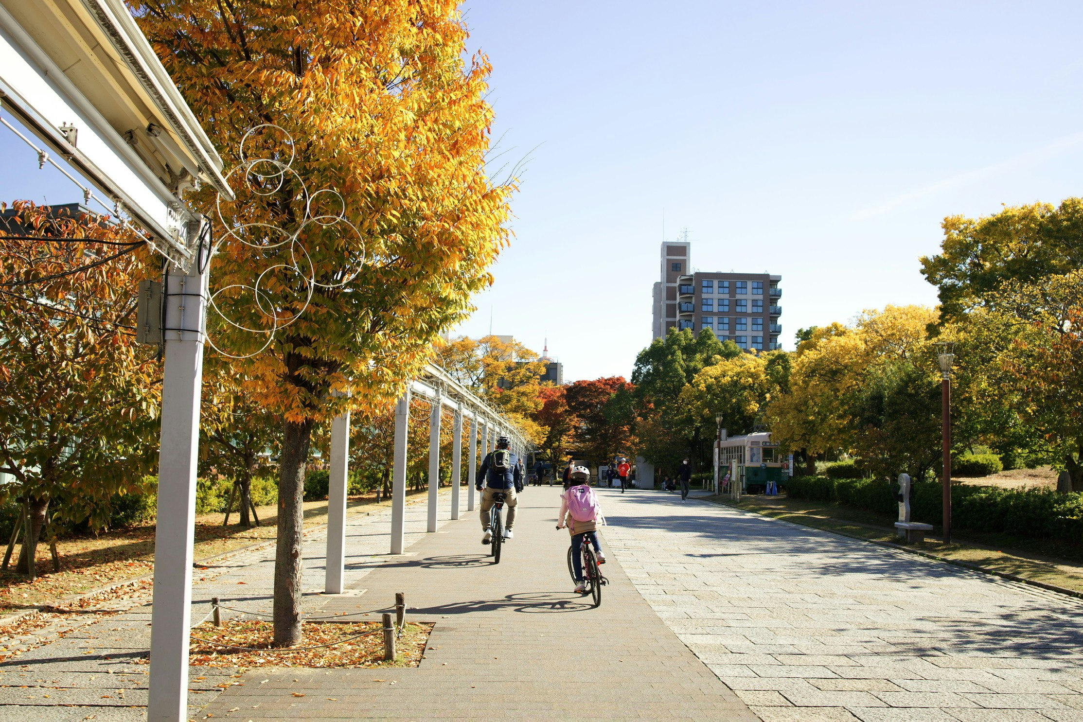 Autumn foliage along a promenade near Umezu Park with bicycles