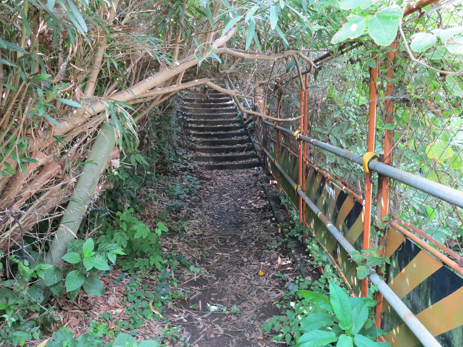 Ein enger Weg umgeben von Grün mit einer Treppe nach oben