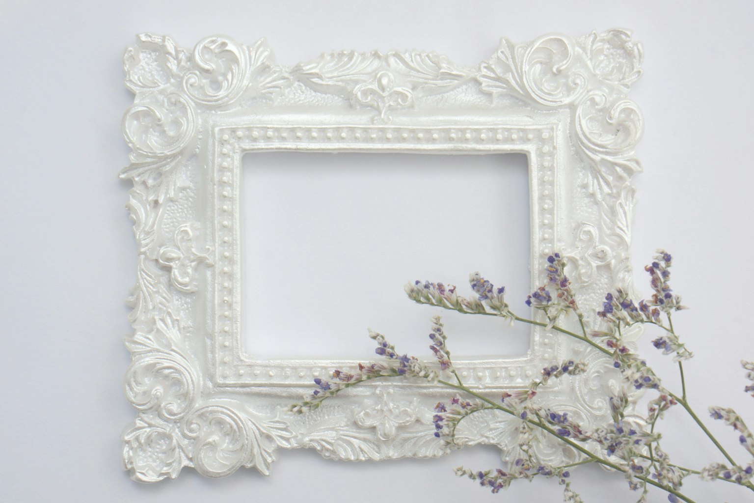 Cornice decorativa bianca con un rametto di fiori secchi