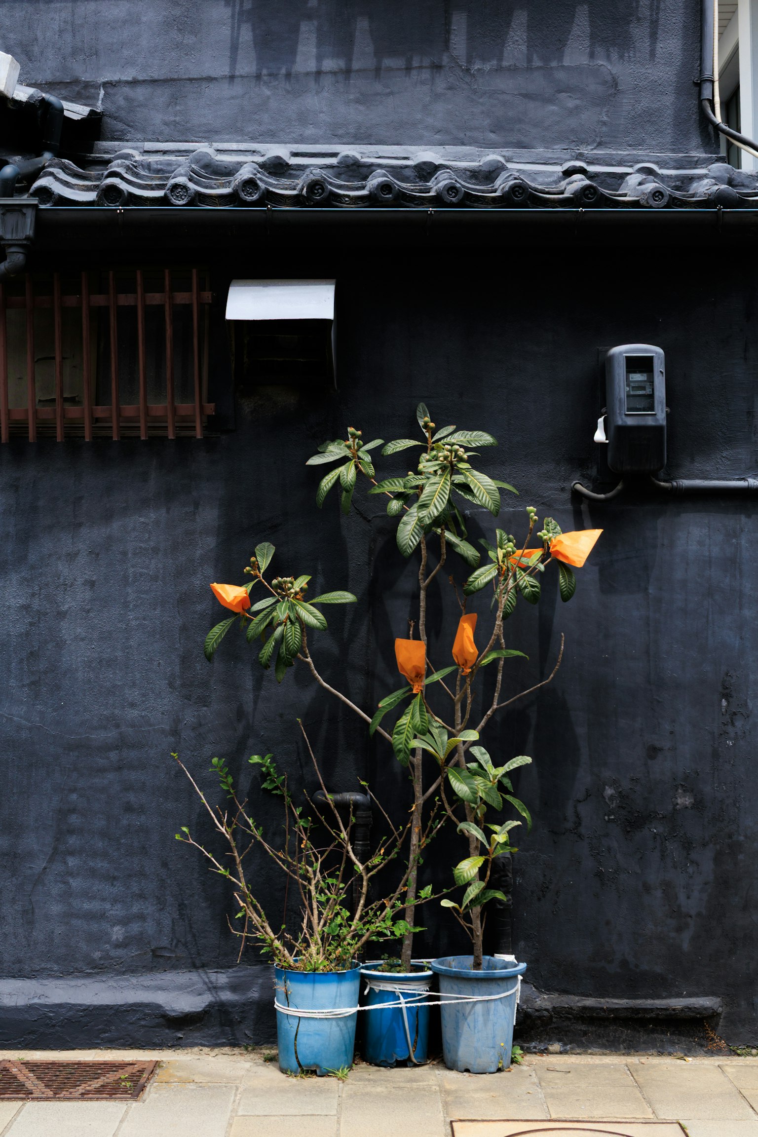 photo-TAnBnnk2vNnhnFfaDxh3-image