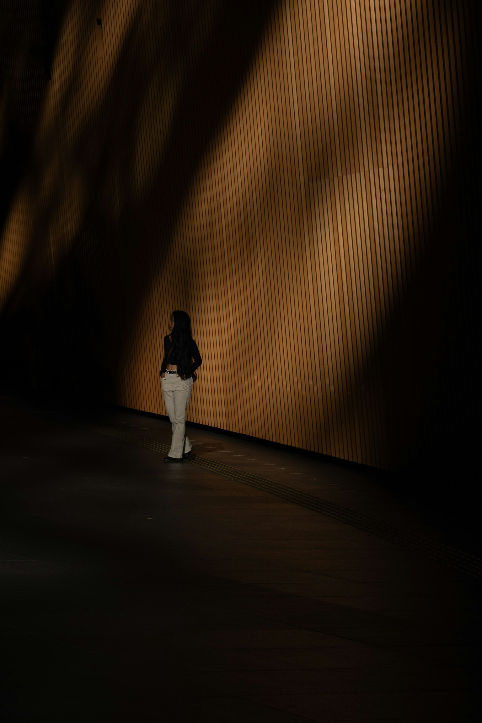 Silhouette d'une femme se tenant devant un mur en bois avec un éclairage dramatique