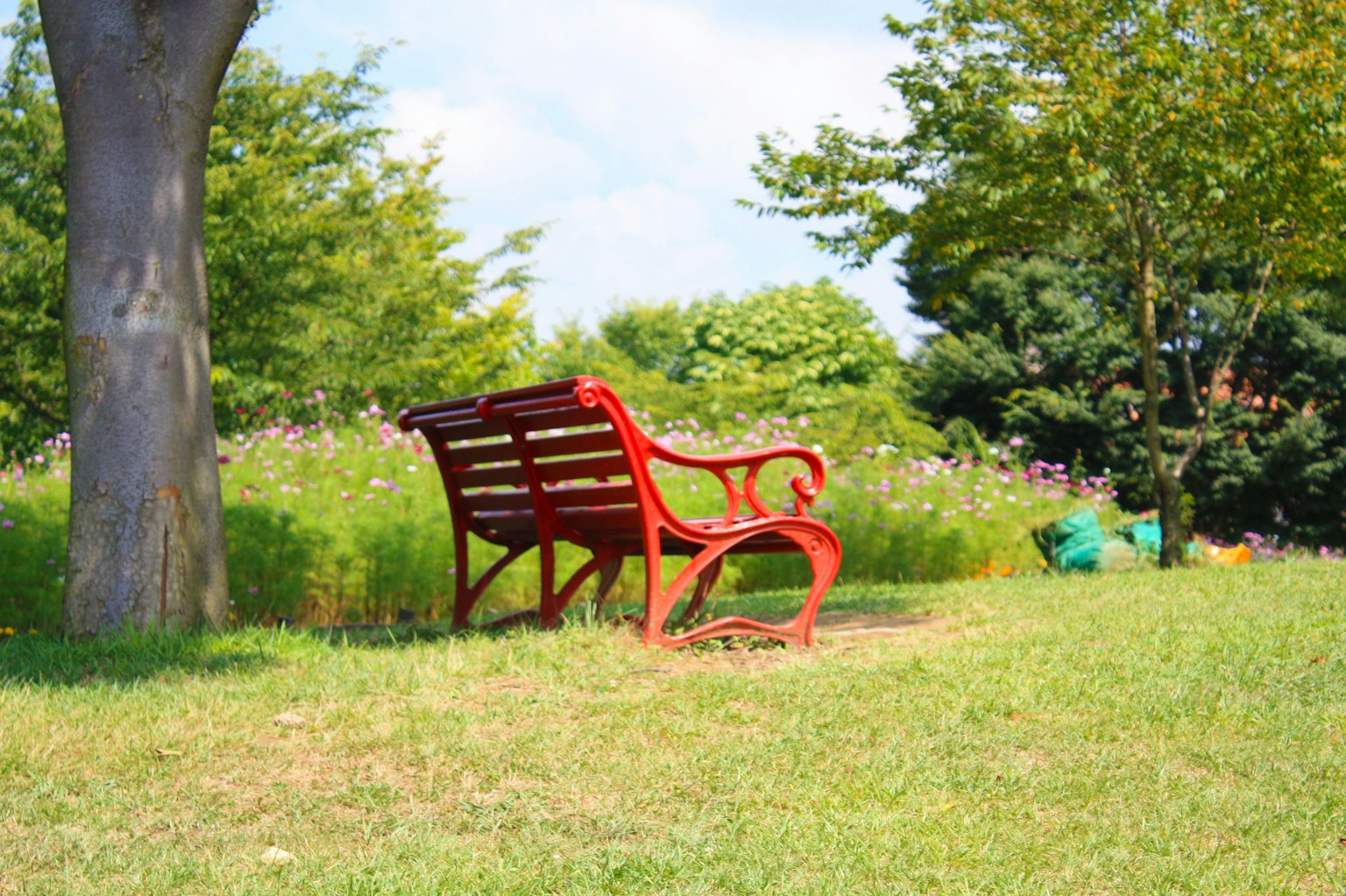 Banco rojo en un parque rodeado de césped verde y árboles
