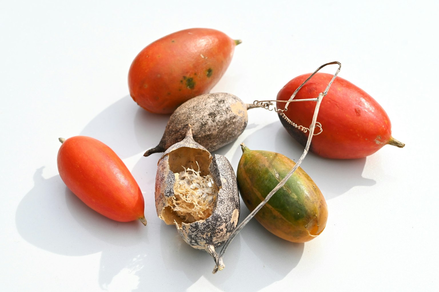 Frutti rossi e un frutto secco sono disposti insieme