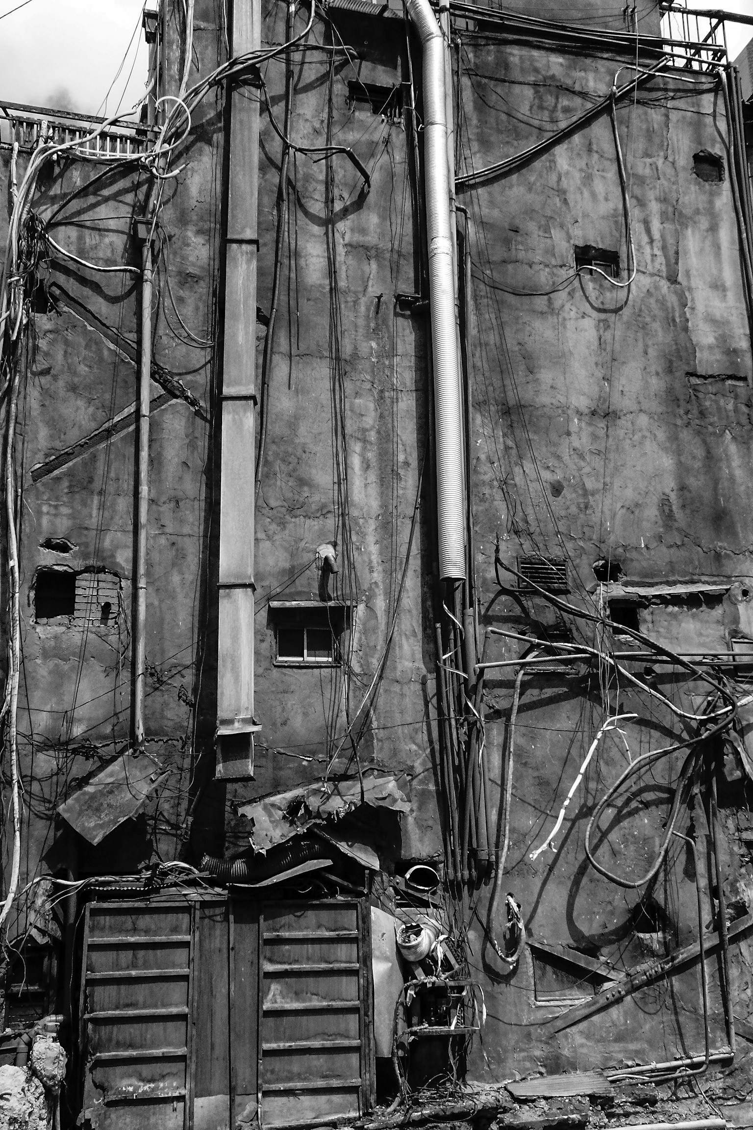 photo-TBLzqB018ELqZWoSnJ7S-image