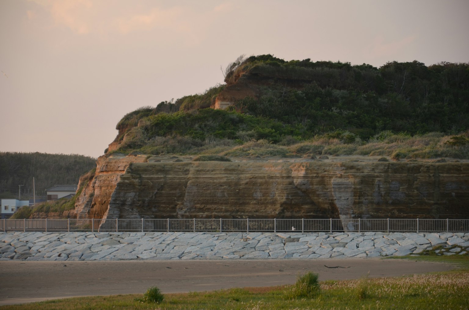 海岸悬崖与绿色植被的风景