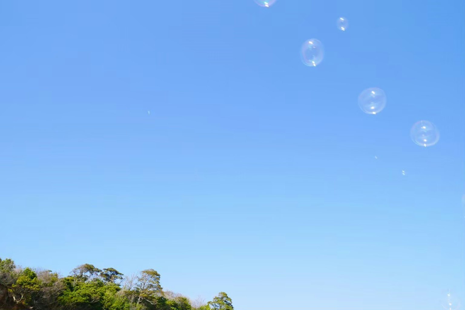 Seifenblasen, die in einem blauen Himmel mit grünen Bäumen schweben
