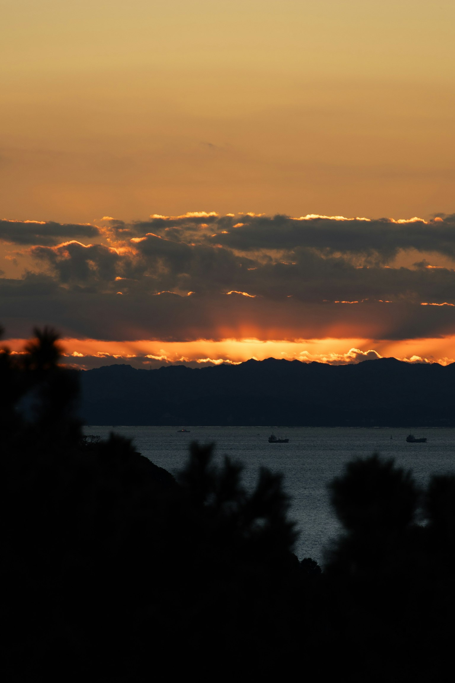 ทิวทัศน์พระอาทิตย์ตกที่สวยงามพร้อมเงาของต้นไม้และมหาสมุทร