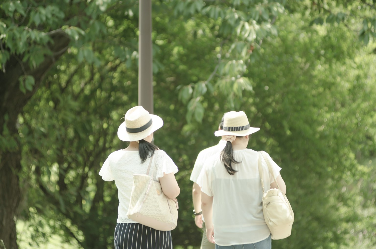 Due donne con cappelli che camminano in un parco verde