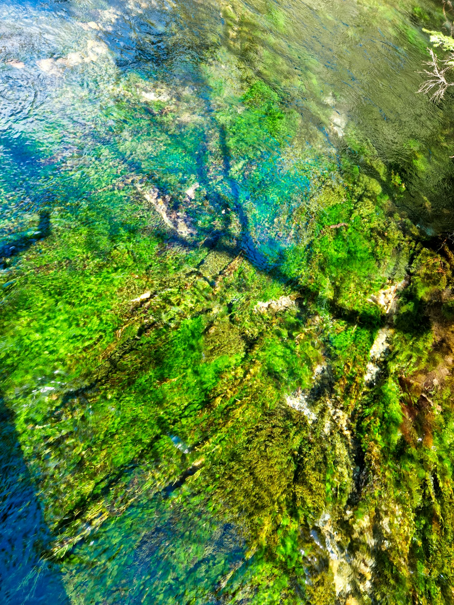 photo-TCFyG7APmCb3g5Z361yC-image