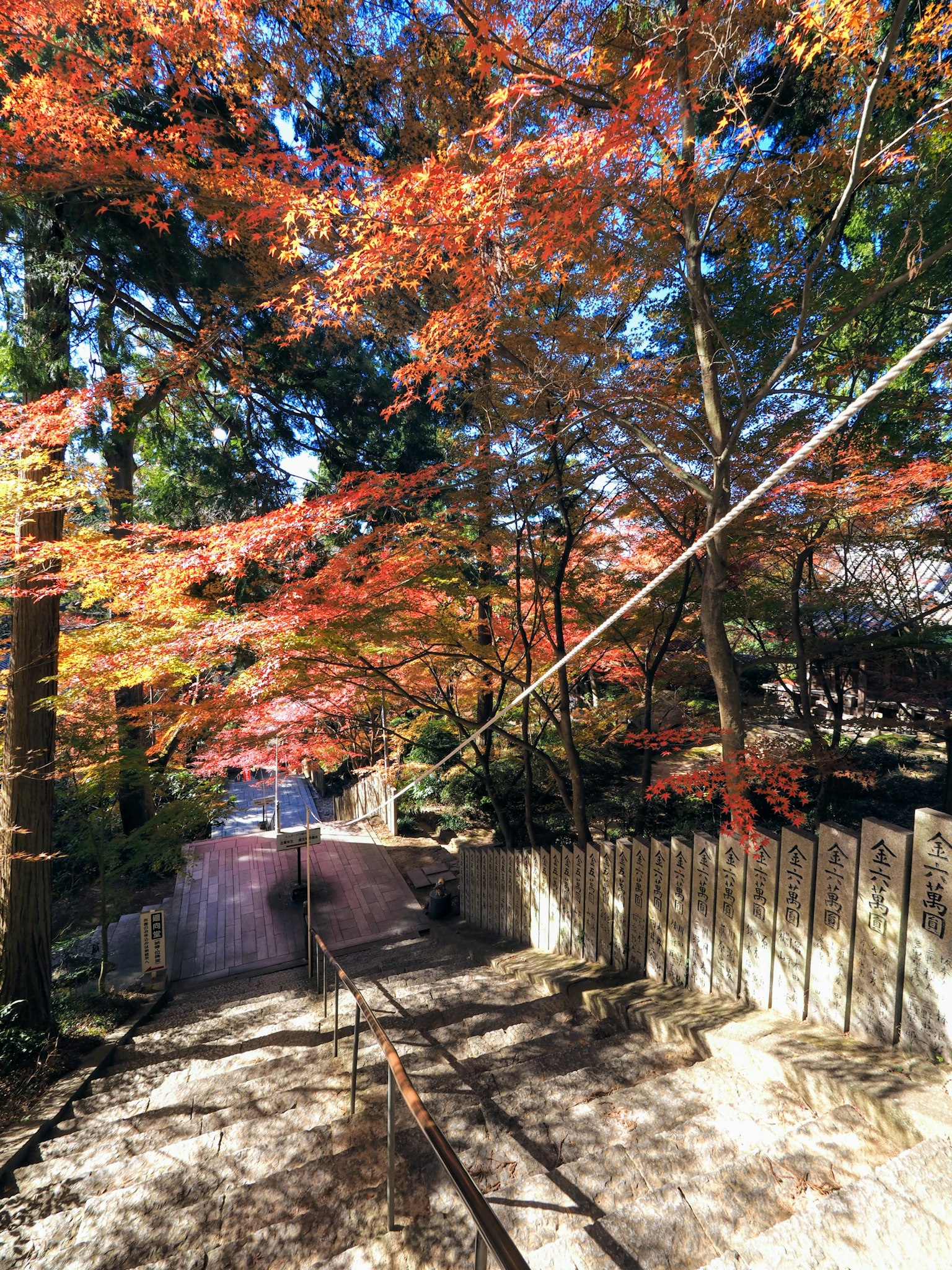 Vue pittoresque d'escaliers en pierre entourés de feuilles d'automne vibrantes