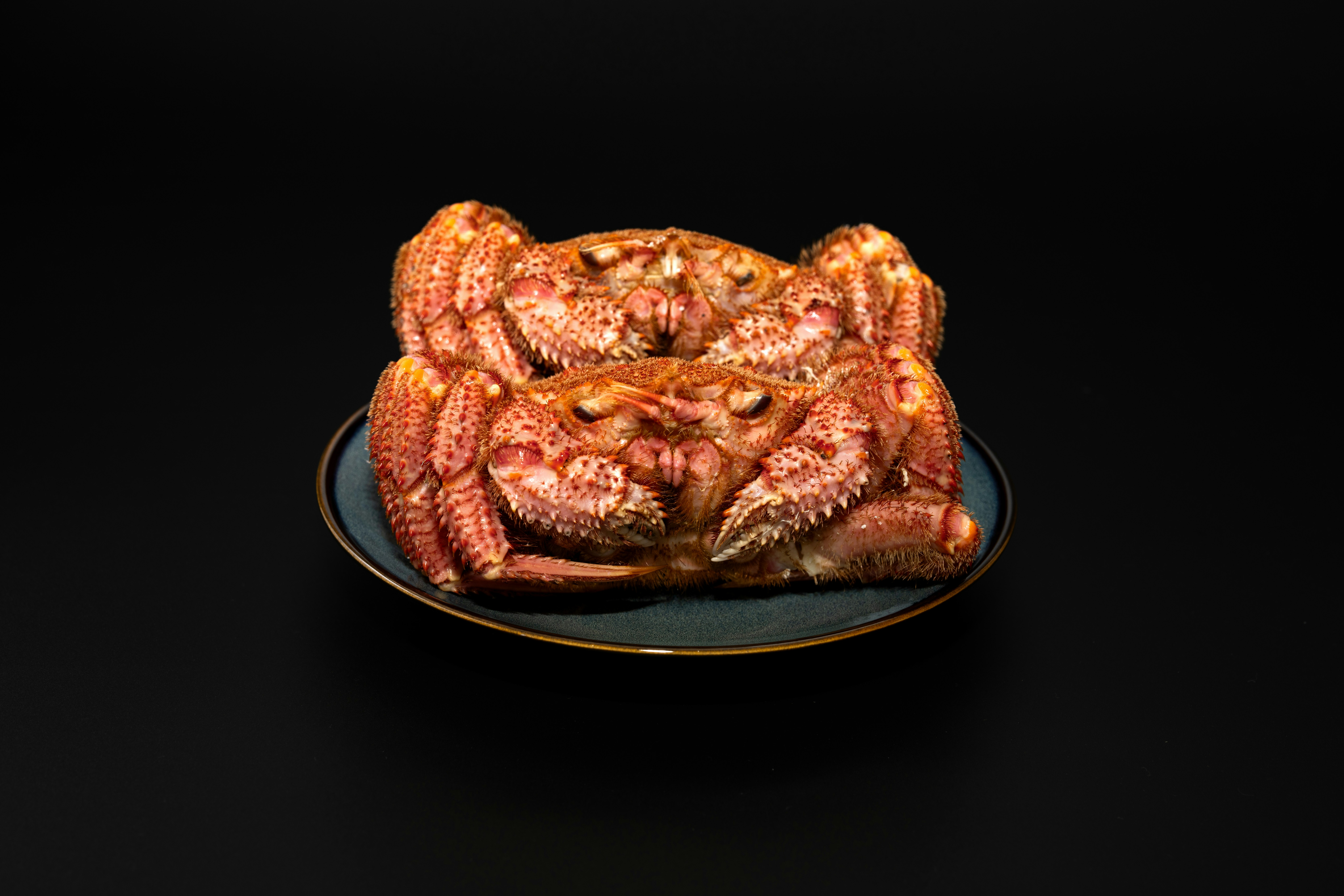 Lobster dish on a dark background