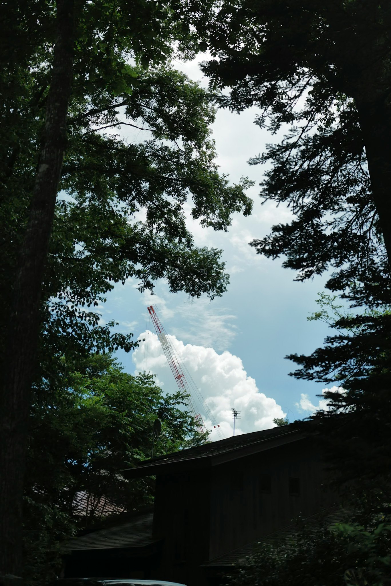 木々の間から見上げる空と雲、クレーンのある建設現場