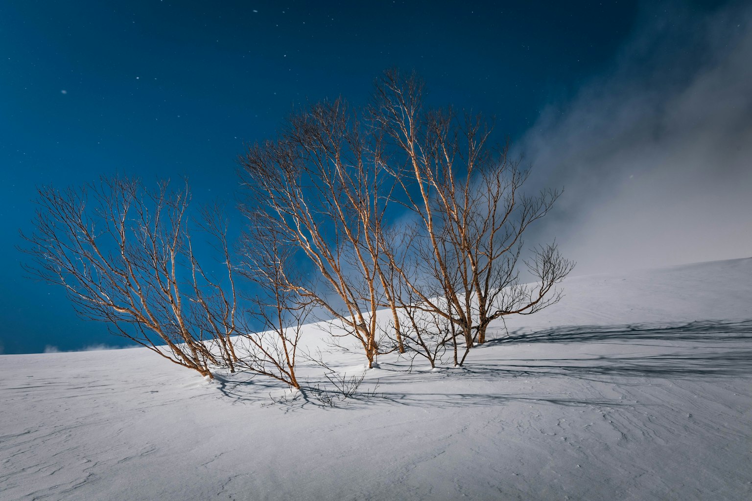 Alberi sottili su un pendio innevato sotto un cielo blu