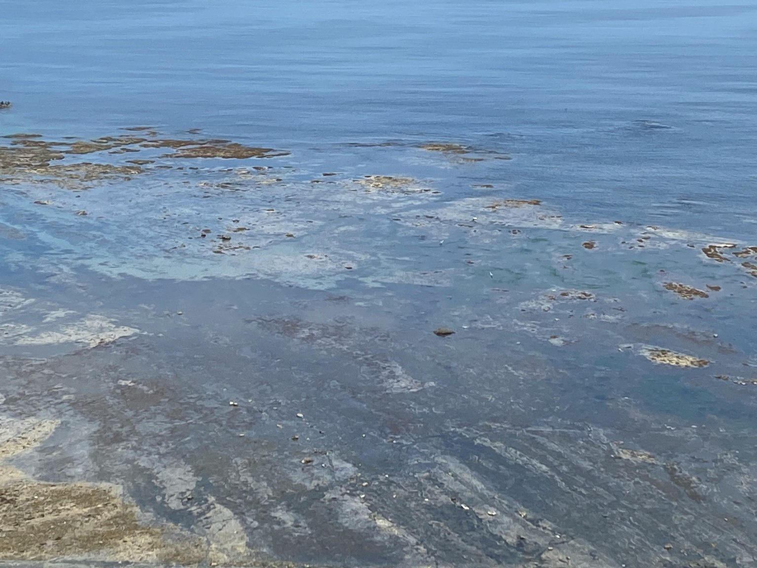 平靜的海面上，淺水區散布著藻類