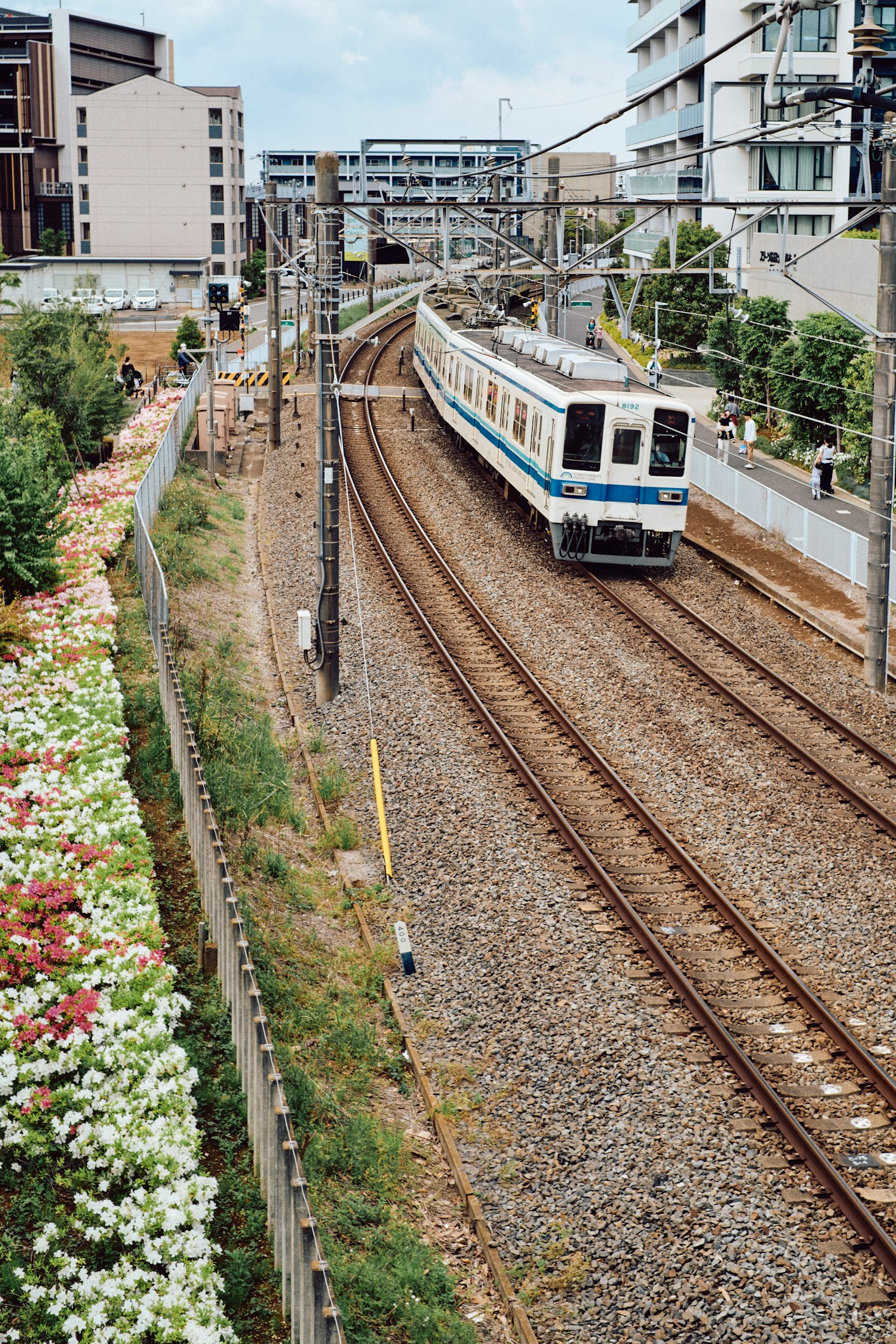 Tren que viaja por vías urbanas con vegetación cercana