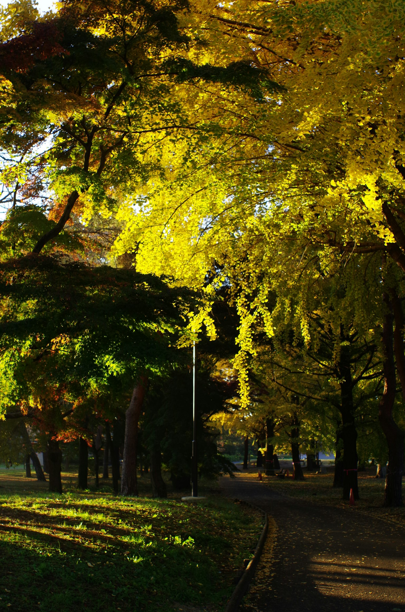 暗い背景にシンプルなデザインのグレーの色合い
