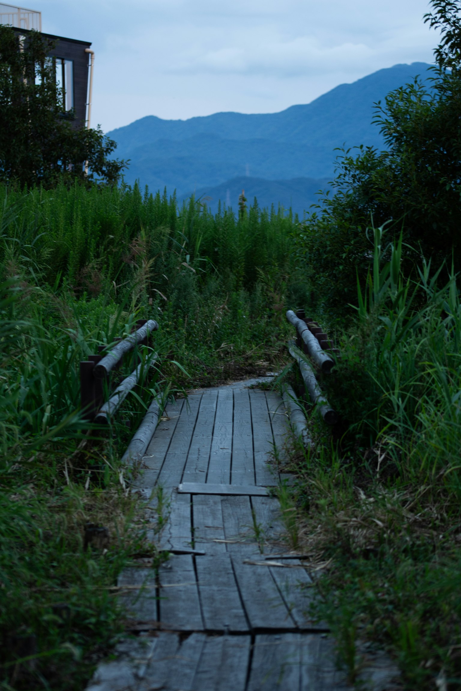 photo-TFXXN9ptXkwP2PxCD1sr-image