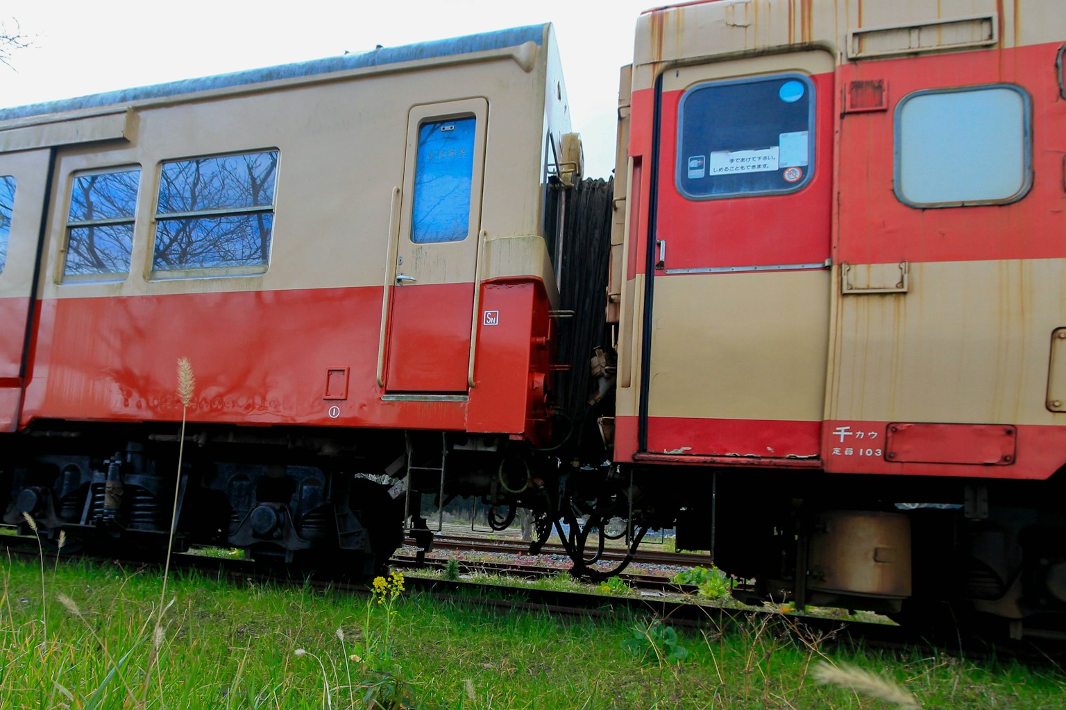 Primo piano di due vagoni ferroviari connessi di colori rosso e crema