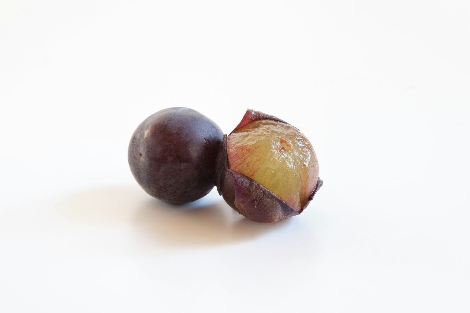 Due frutti posizionati su uno sfondo bianco