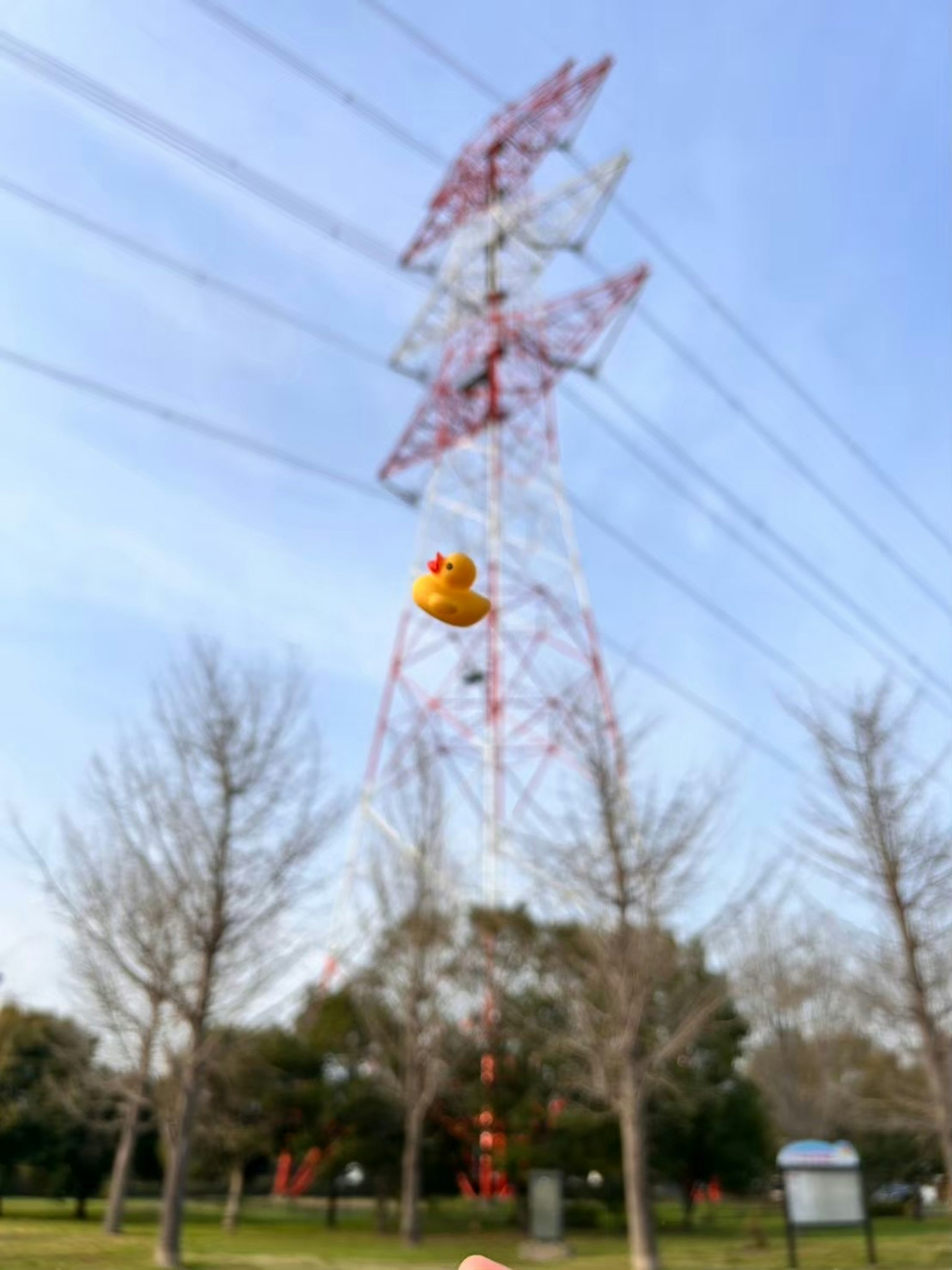 在电线和蓝天背景下漂浮的黄色橡胶鸭子